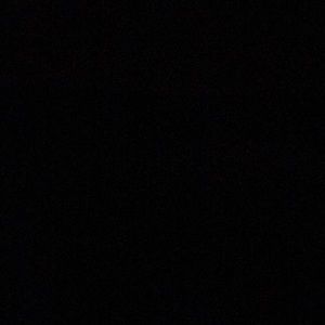 Meet your Posher, Samuel